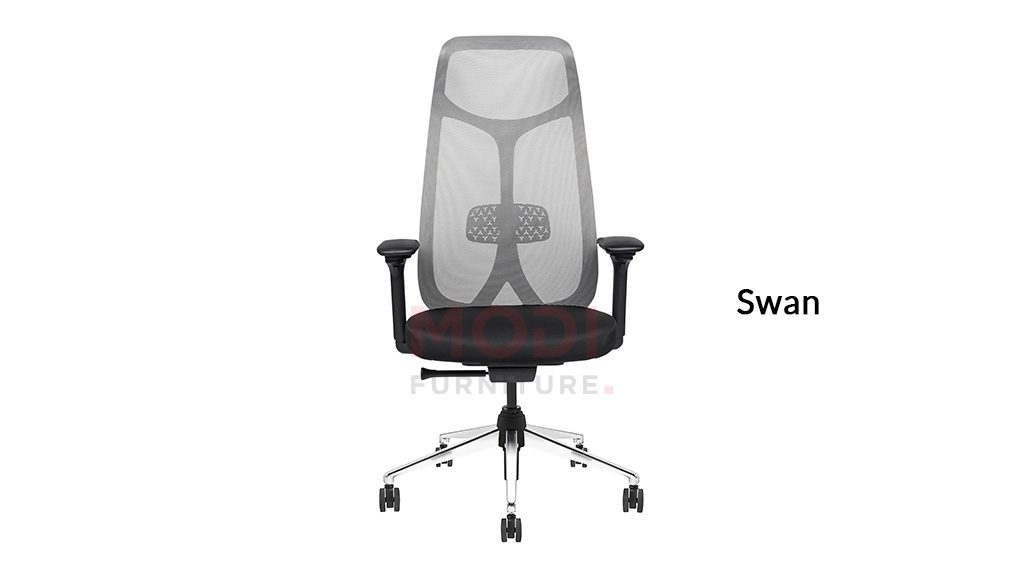 swan max